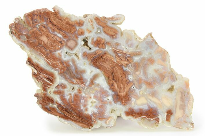 Polished Wyoming Youngite Agate/Jasper Slab - Fluorescent #299341